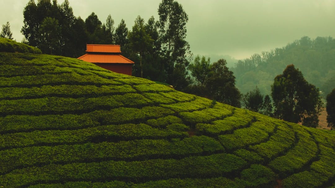 Ooty - The Queen of Hill Stations